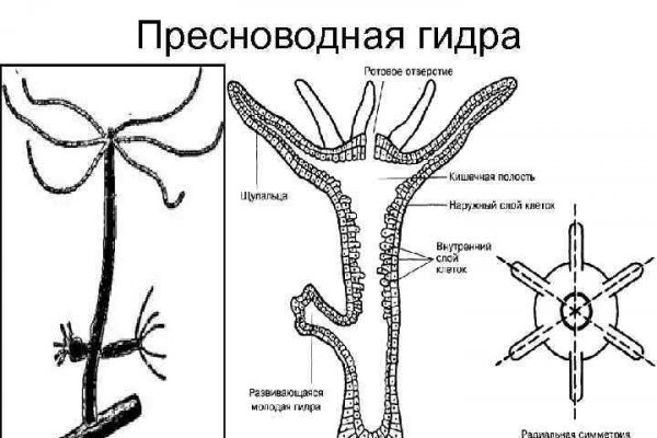 Кракен маркетплейс товары