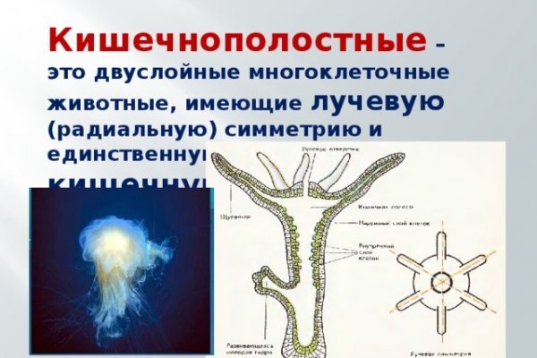 Проверенная ссылка кракен