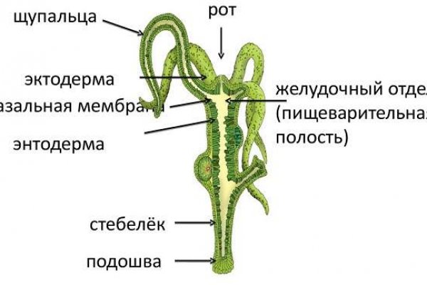 Что такое кракен сайт