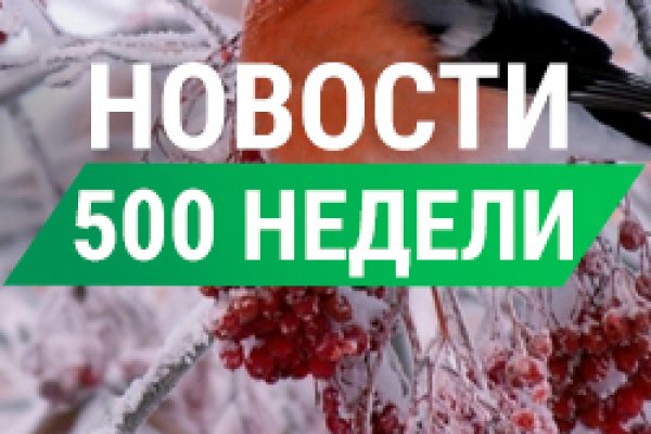 Почему не могу зайти на кракен